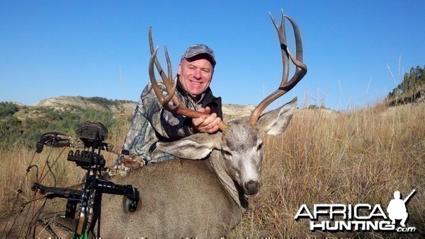 North dakota Mule Deer