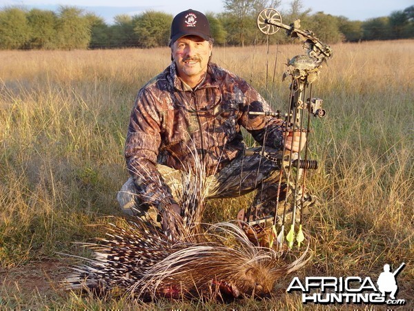 Limcroma Safaris African Porcupine