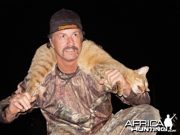 African Wildcat with Limcroma Safaris May 2011