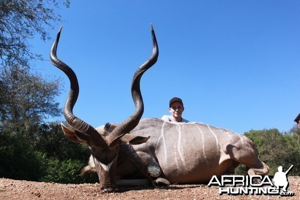 Kudu hunted in Limpopo SA