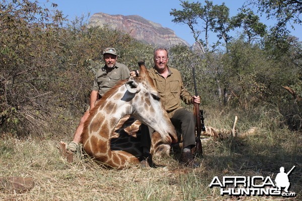 Giraffe hunted in Limpopo SA