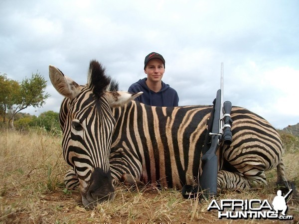 Zebra hunted in Limpopo SA