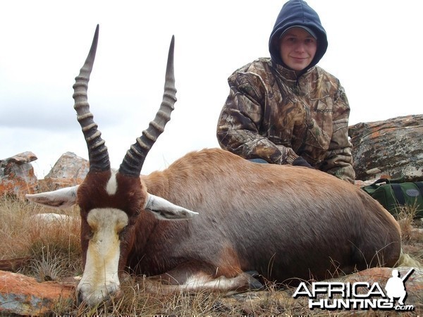 Blesbuck hunted in Limpopo SA