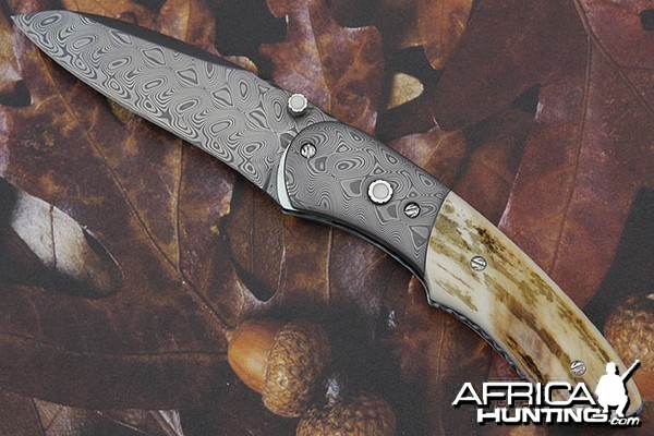 Button lock folding knife with warthog tusk handle