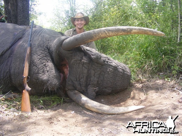 2011 elephant hunt Zimbabwe