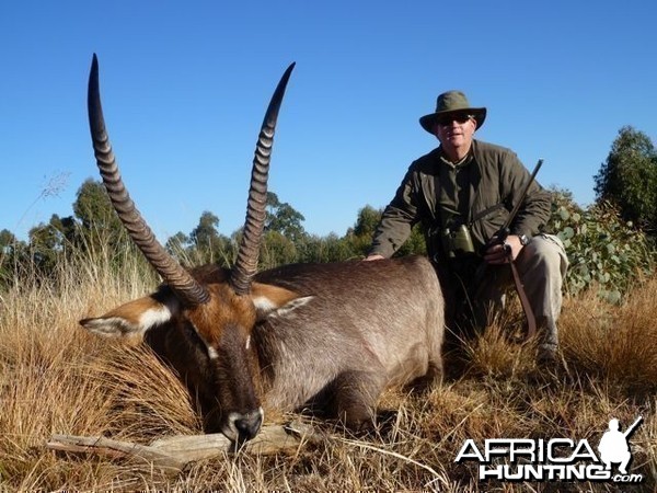 Nice Waterbuck