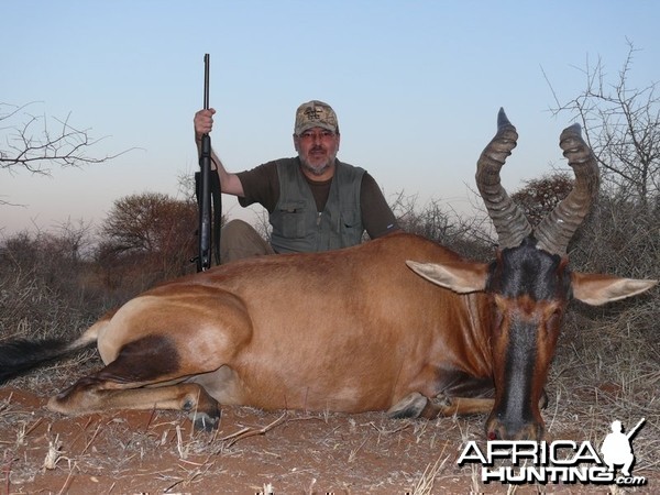 Hartebeest 2008