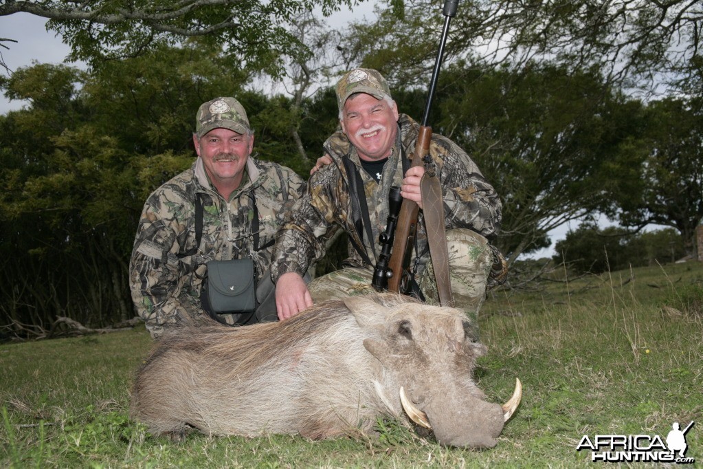 Warthog hunted with KMG Hunting Safaris in the Eastern Cape