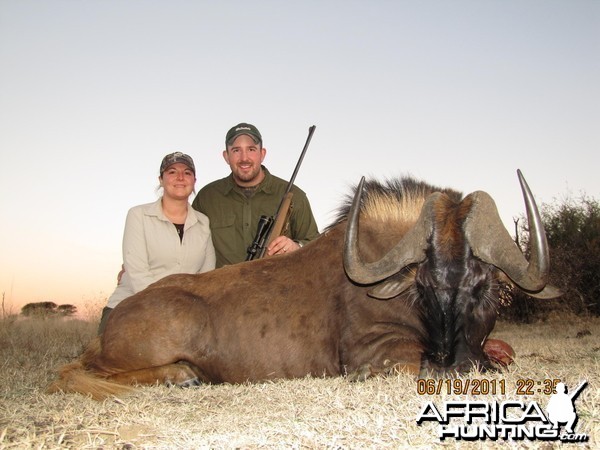 Black Wildebeest hunted with Hartzview Safaris SA