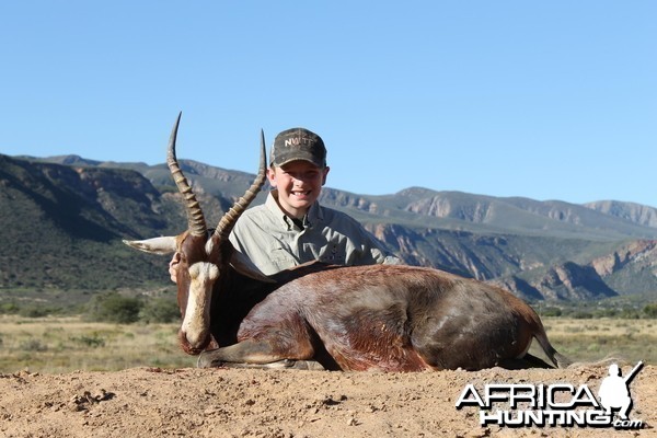 Blesbok taken with Cape Valley Safaris