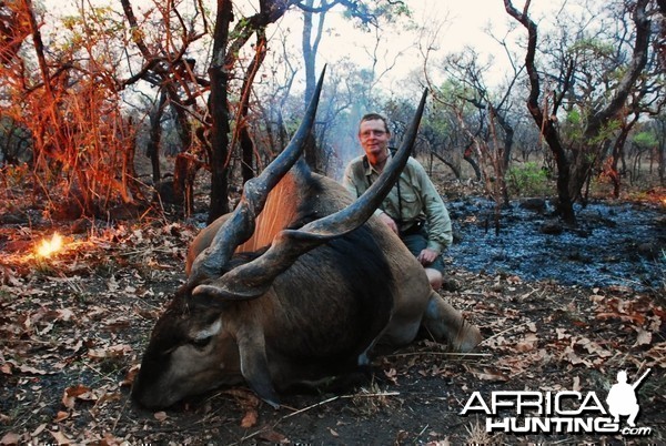 50 inch Eland hunted in CAR with Central African Wildlife Adventures