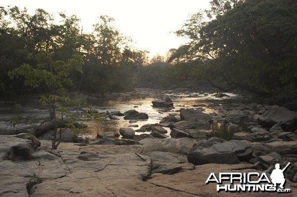 CAR with Central African Wildlife Adventures