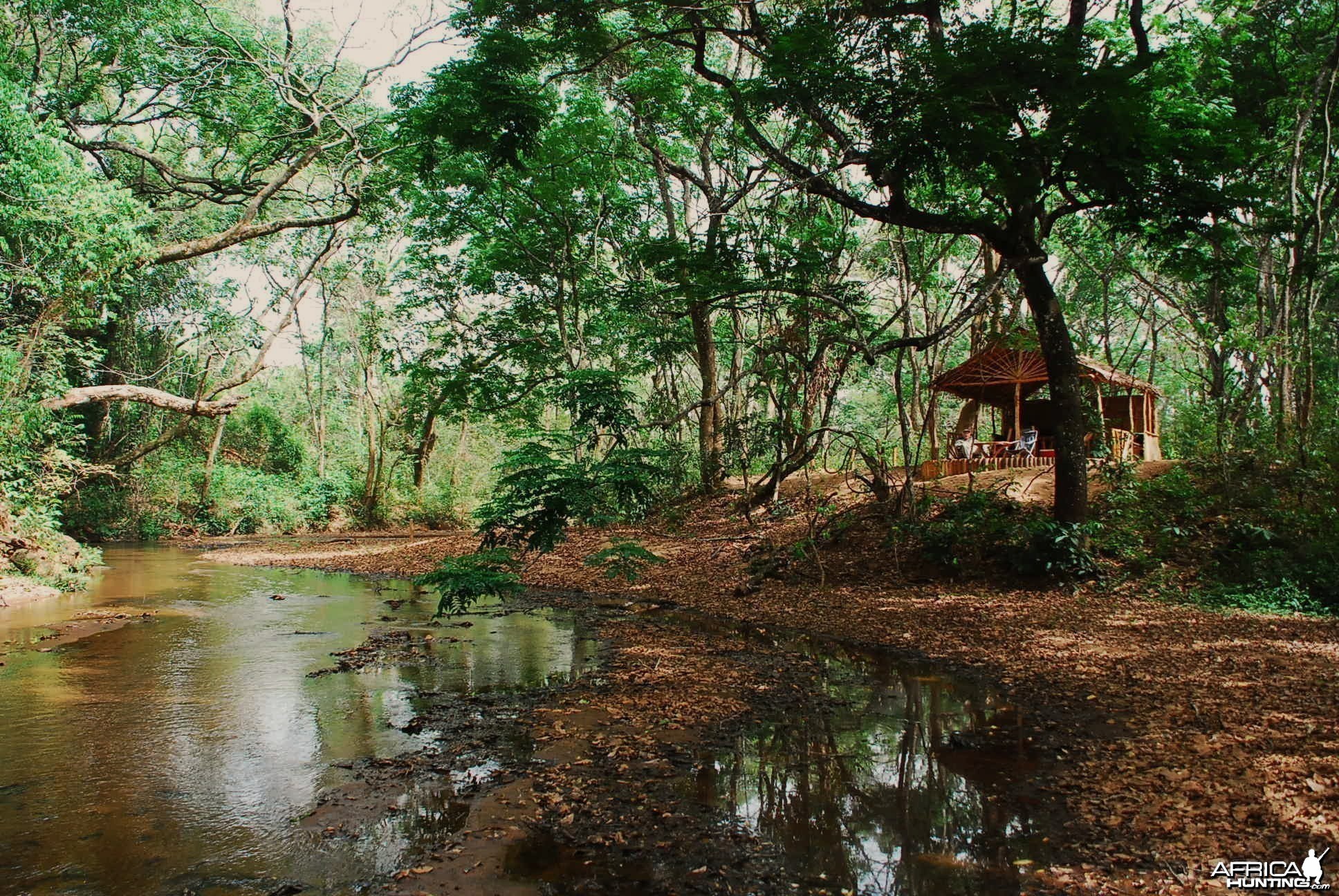 Fly camp Ngoy in CAR with Central African Wildlife Adventures