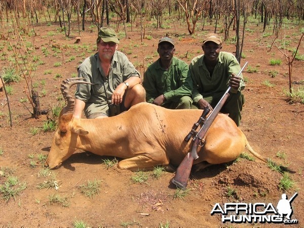 Hartebeest hunted in CAR with Central African Wildlife Adventures