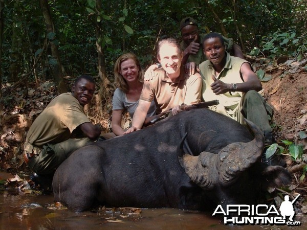 Heavy bossed Buffalo hunted in CAR with Central African Wildlife Adventures