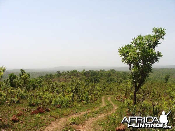 Kocho area in CAR with Central African Wildlife Adventures