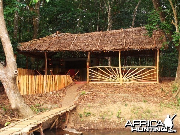 CAR with Central African Wildlife Adventures