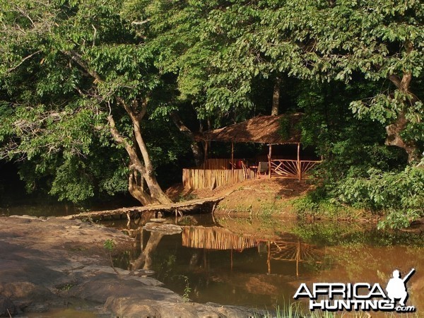 CAR with Central African Wildlife Adventures