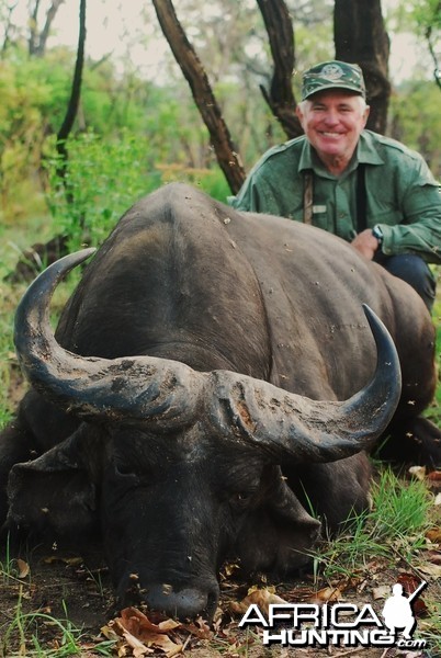 34 inch spread old Buffalo hunted in CAR with Central African Wildlife Adve