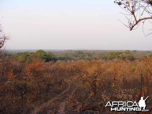 Ngoyo area in CAR with Central African Wildlife Adventures