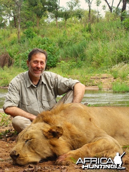 Old and worn warrior Lion hunted in CAR with Central African Wildlife Adven