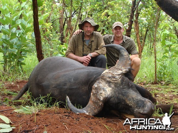 Old Buffalo hunted in CAR with Central African Wildlife Adventures