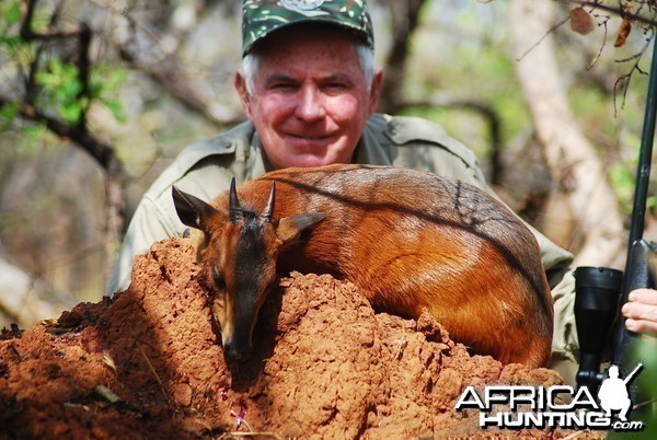 Red Flanked Duiker hunted in CAR with Central African Wildlife Adventures