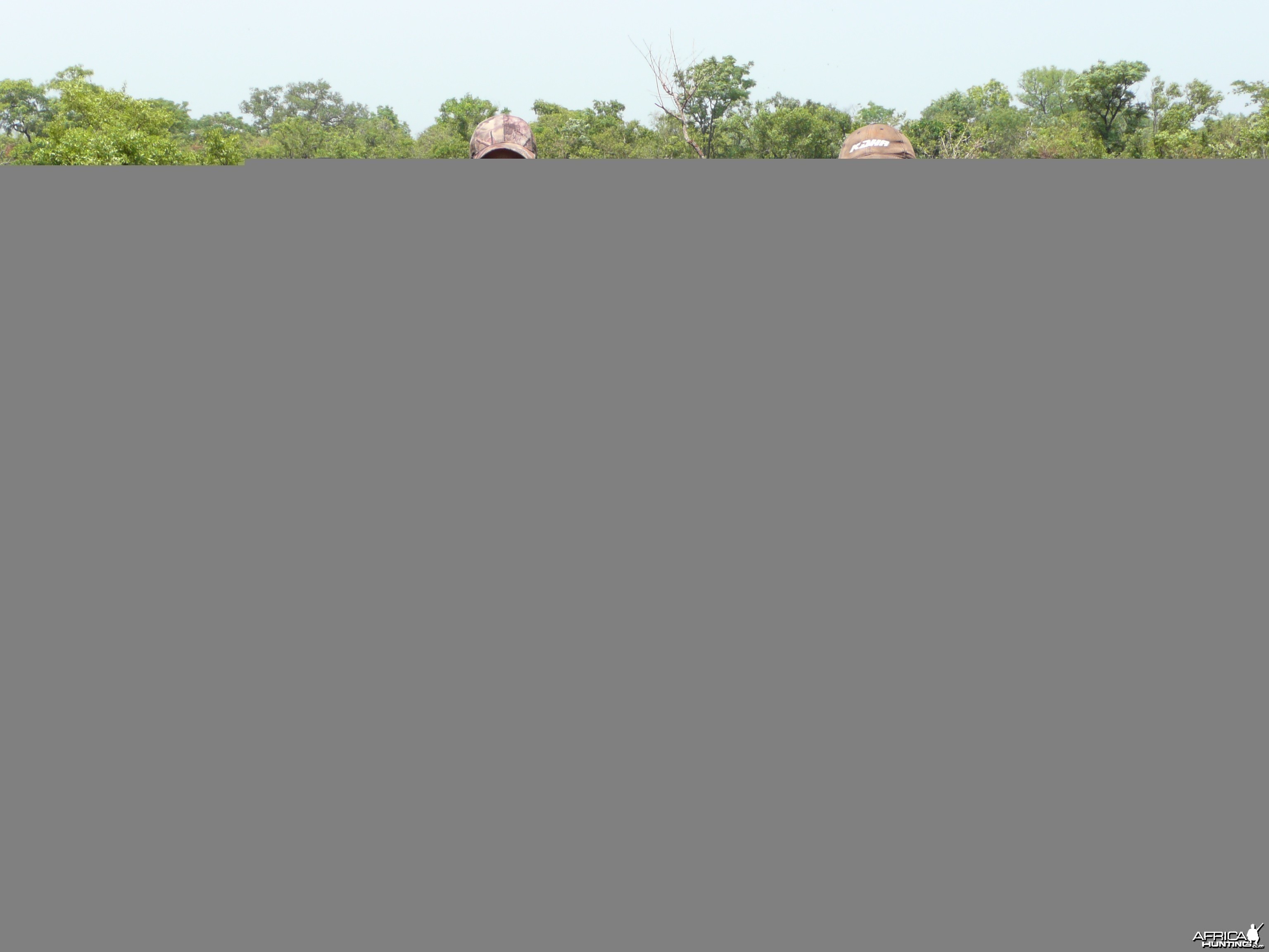 Old Buffalo hunted in CAR with Central African Wildlife Adventures