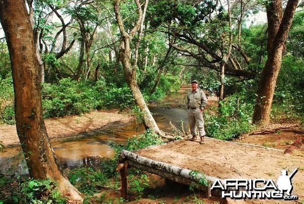 CAR with Central African Wildlife Adventures