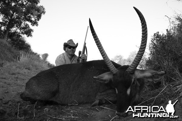 Waterbuck