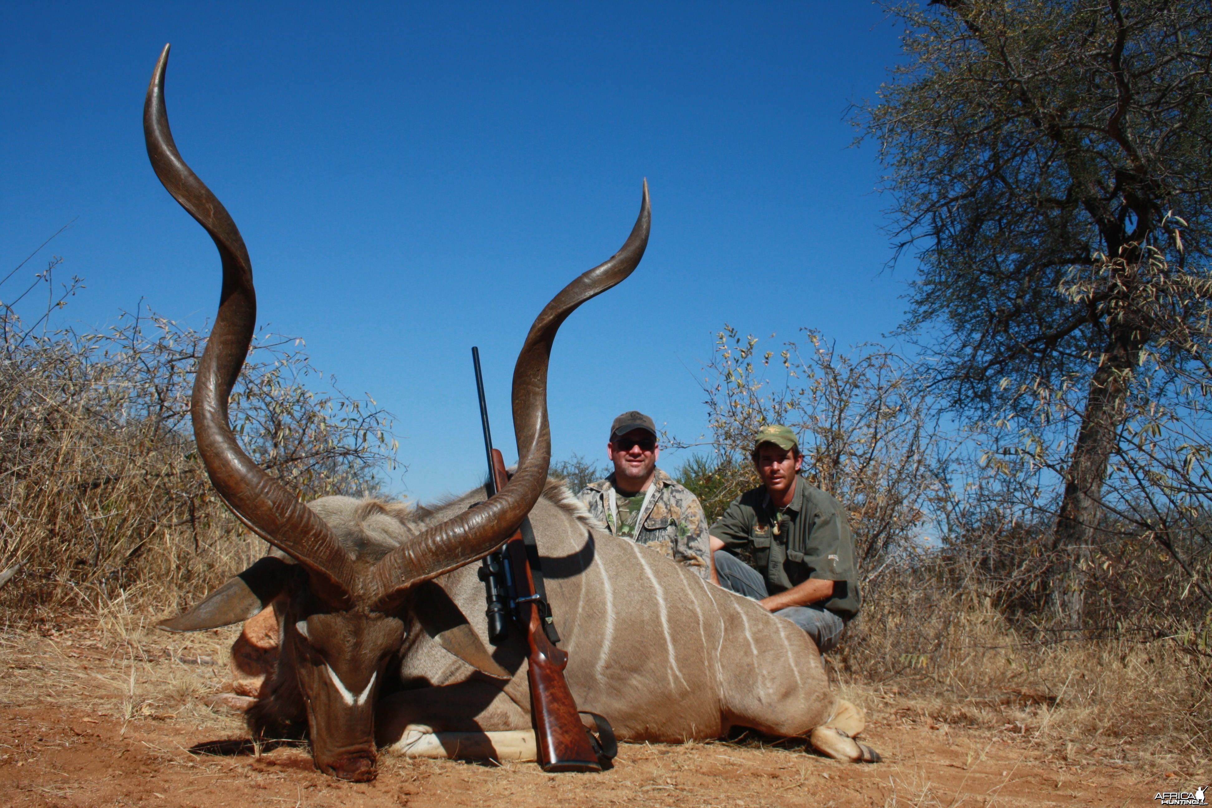 Kudu