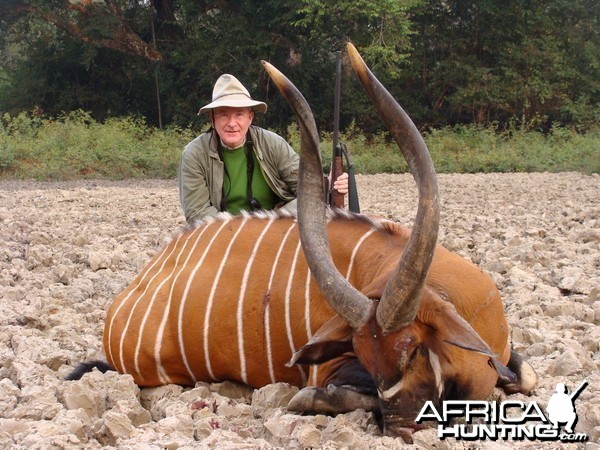 Bongo hunted in CAR with Central African Wildlife Adventures