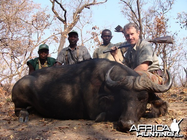 Buffalo hunted in CAR with Central African Wildlife Adventures