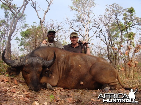 Buffalo hunted in Central African Republic with CAWA