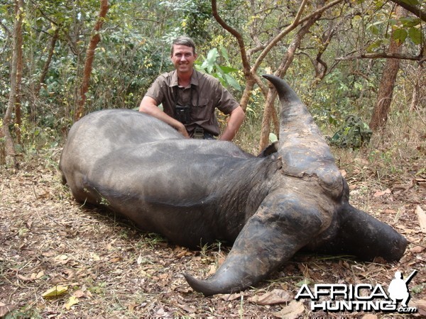 Buffalo hunted in Central African Republic with CAWA