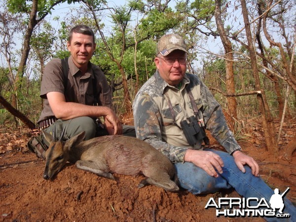 Bush Duiker hunted in CAR with Central African Wildlife Adventures