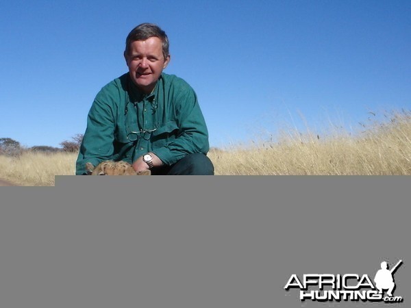 Cheetah Hunting in Namibia