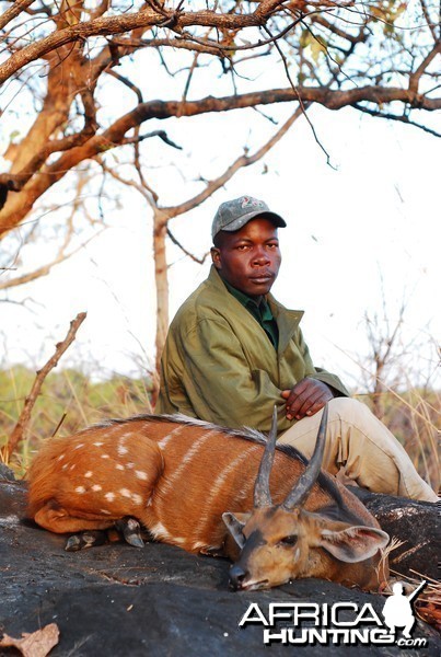 Bushbuck hunted in CAR with CAWA