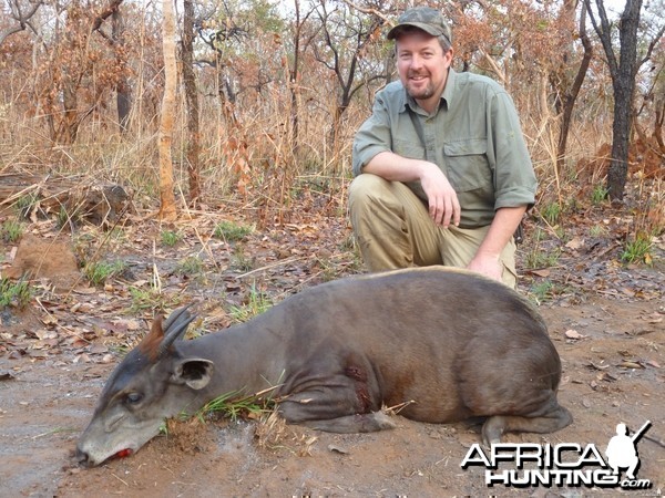 Yellow Back Duiker hunted in CAR with CAWA