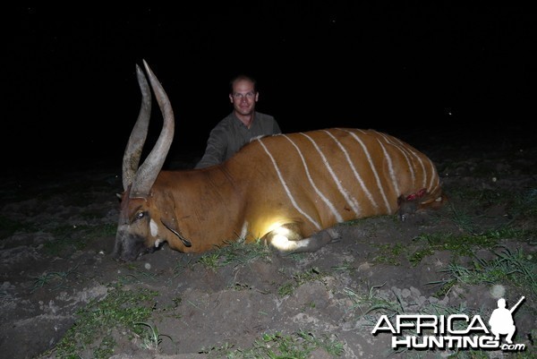 Bongo hunted in CAR with CAWA