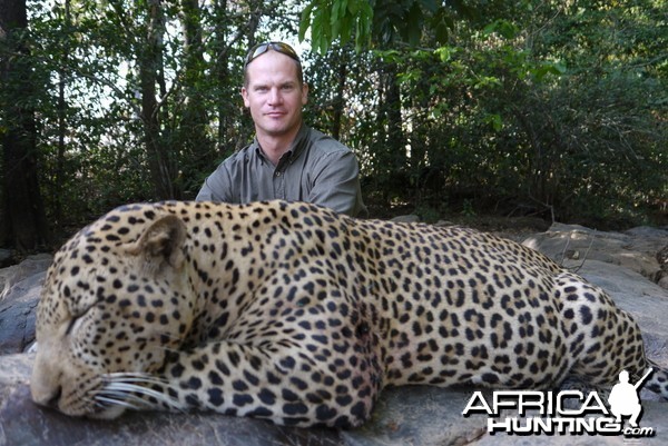 Leopard hunted in Central African Republic with CAWA