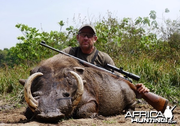 Warthog hunted in CAR with Central African Wildlife Adventures