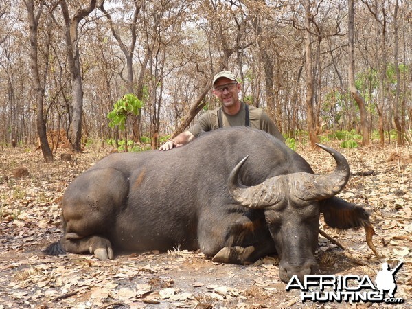 Buffalo hunted in Central African Republic with CAWA