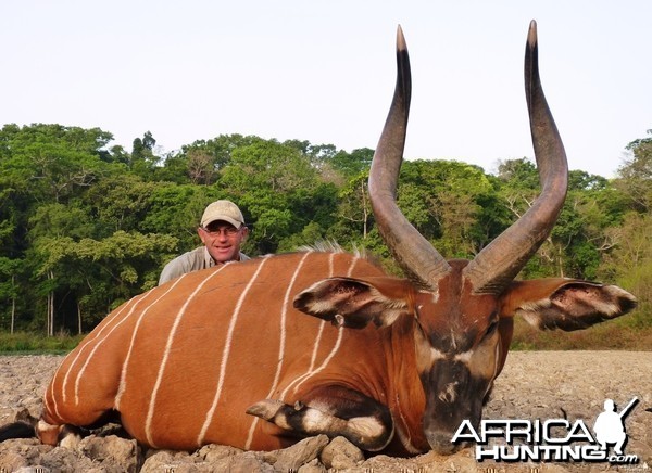 Bongo hunted in CAR with Central African Wildlife Adventures