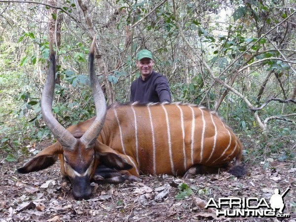 Bongo hunted in CAR with CAWA