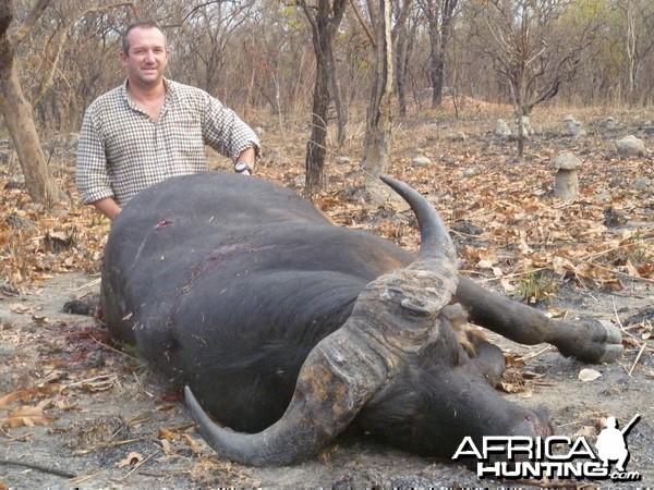 Buffalo hunted in Central African Republic with CAWA