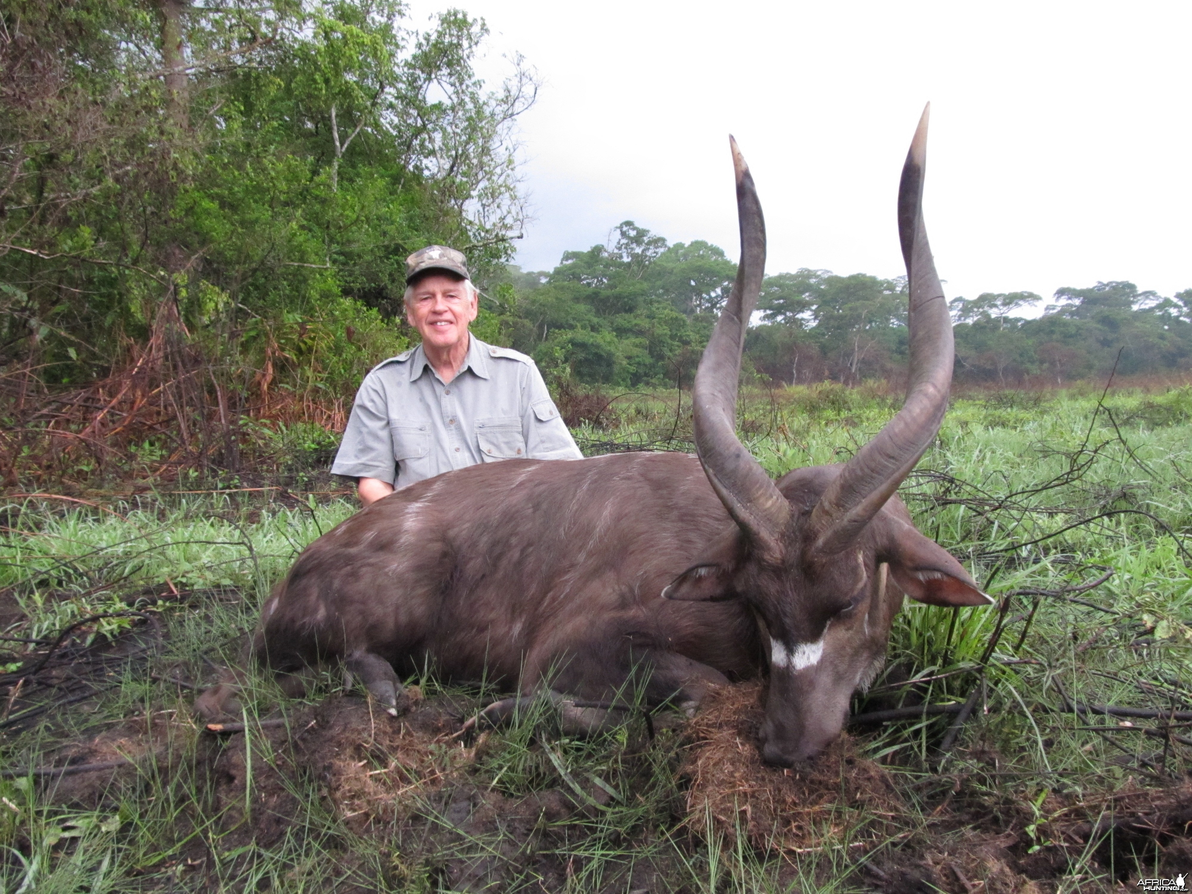 Sitatunga hunted in Central African Republic with CAWA