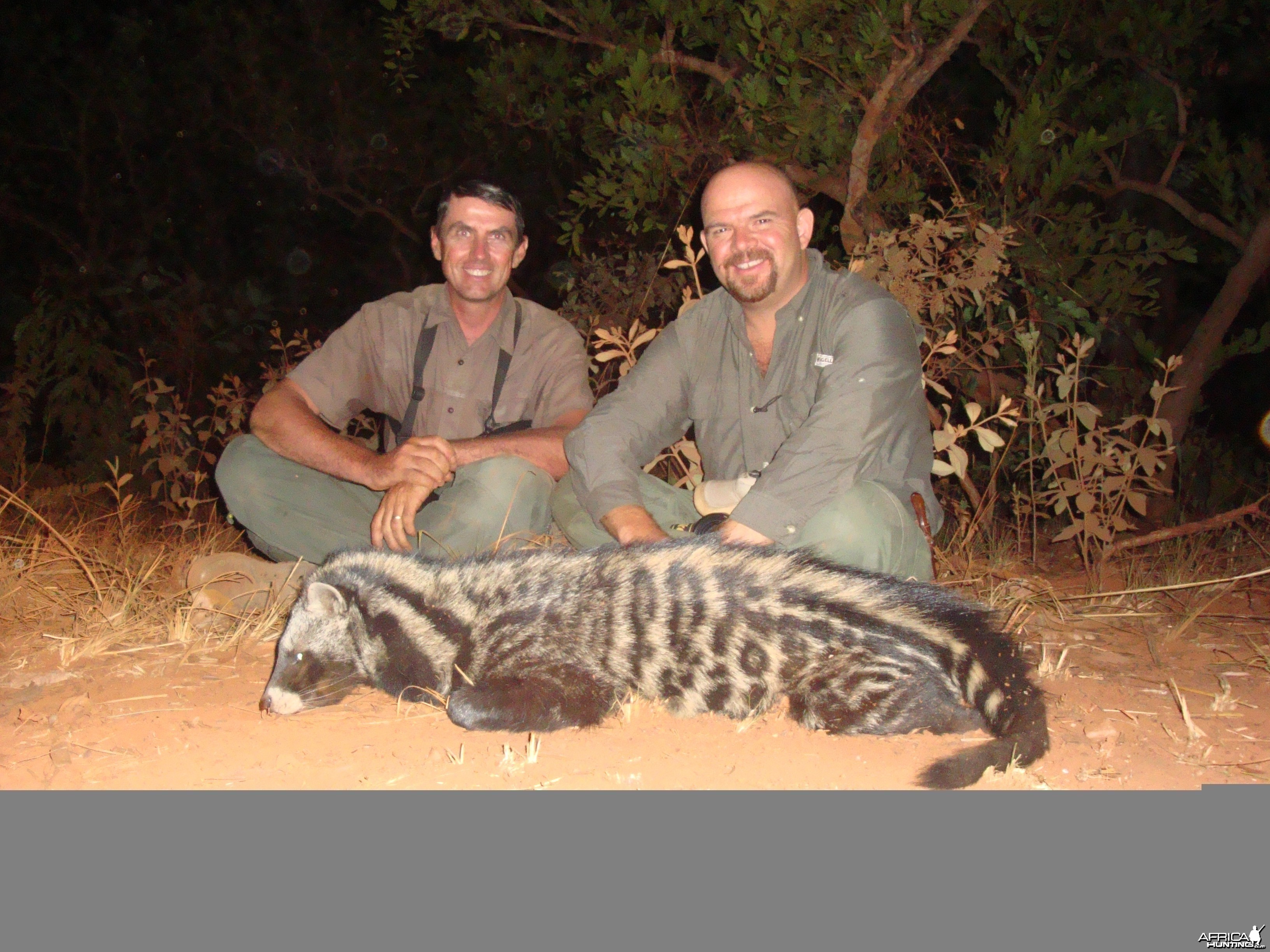 Civet Cat hunted in Central African Republic with CAWA