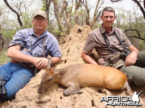 Weyns Duiker hunted in CAR with CAWA