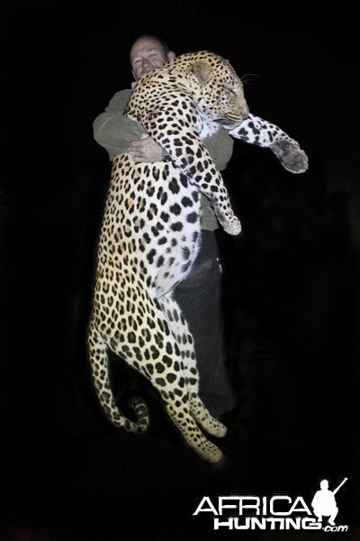 The Musomberi Monster Leopard, Zimbabwe